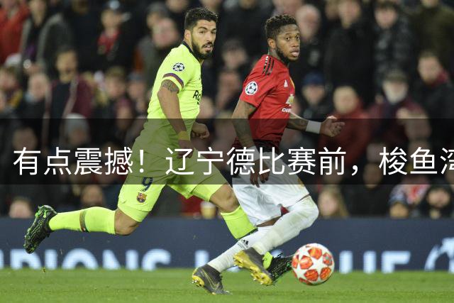 有点震撼！辽宁德比赛前，梭鱼湾球场打出斯坦丘巨型TIFO