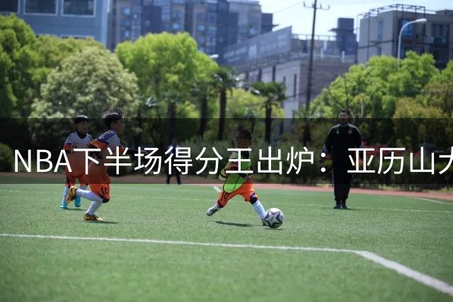 NBA下半场得分王出炉：亚历山大米切尔并列榜首